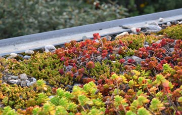 the cost of Billacott green roof installation