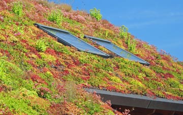Billacott living roof systems