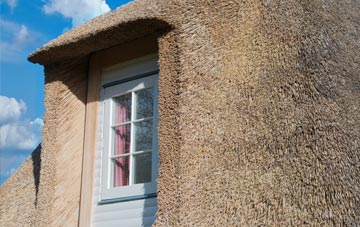 Billacott thatch roof disadvantages